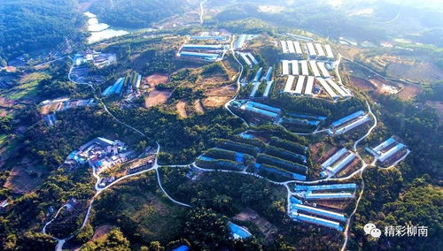 总投资17.3亿元,开竣工19个项目,螺蛳粉小镇建设进入新阶段